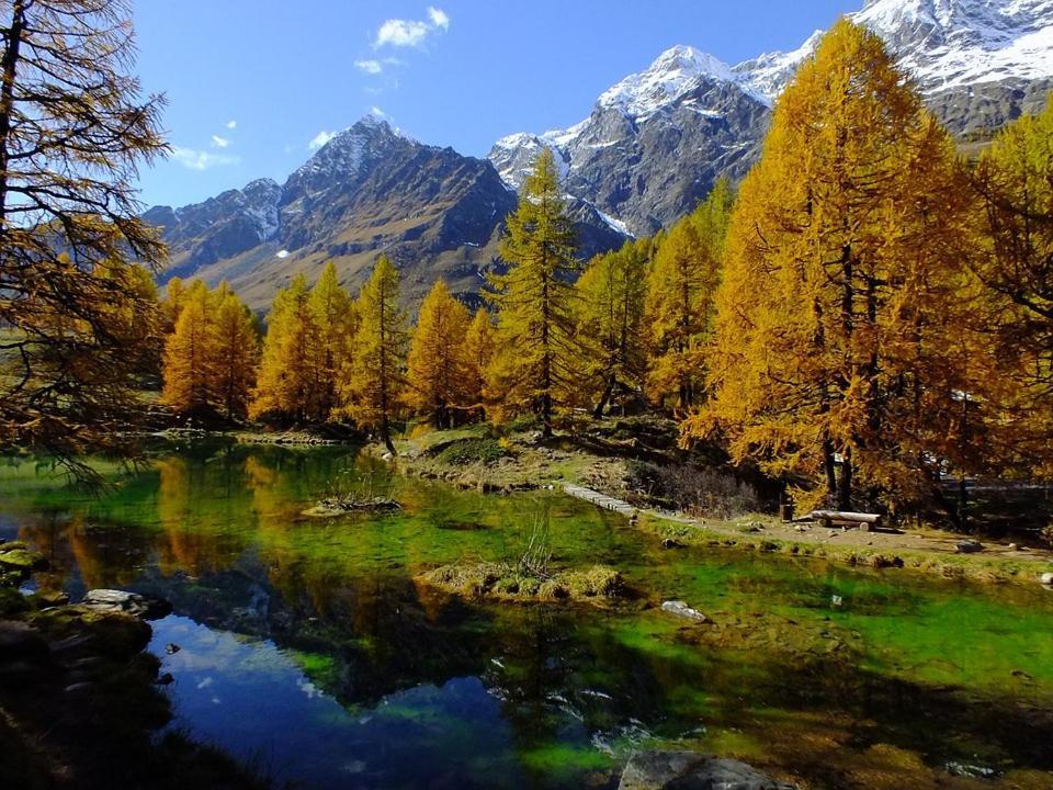 Aosta Stunning Panoramic Views From Modern Two Bedroom Apartment Exteriör bild